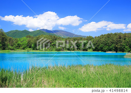 裏磐梯五色沼 裏磐梯五色沼 41498814