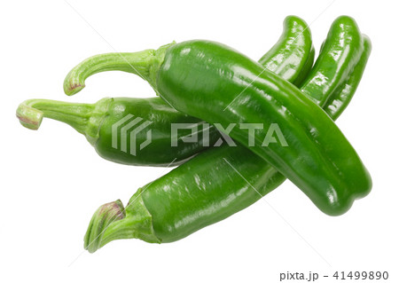 Padron peppers c. annuum, whole pods, top Padron peppers c. annuum, whole pods, top 41499890