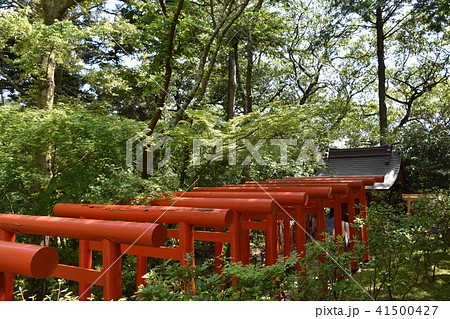 法多山尊永寺　二葉神社　袋井市 41500427