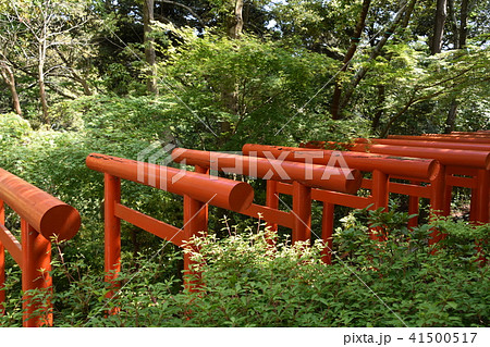 法多山尊永寺　二葉神社　袋井市 41500517