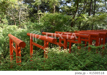 法多山尊永寺 二葉神社 袋井市 法多山尊永寺 二葉神社 袋井市 41500518