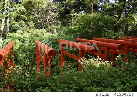 法多山尊永寺　二葉神社　袋井市 41500519