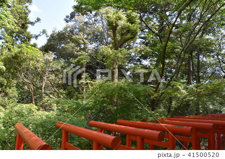 法多山尊永寺　二葉神社　袋井市 41500520