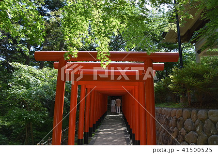 法多山尊永寺　二葉神社　袋井市 41500525