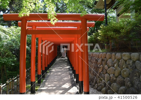 法多山尊永寺 二葉神社 袋井市 法多山尊永寺 二葉神社 袋井市 41500526