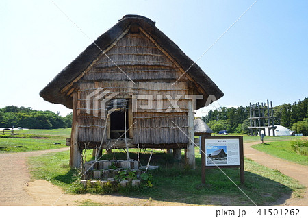 掘立柱建物（三内丸山遺跡／青森県青森市大字三内字丸山） 41501262