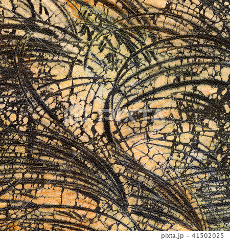 Leather texture. Worn and weathered colored fragment 41502025