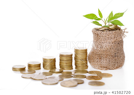 Plant growing in coins bag for money Plant growing in coins bag for money 41502720