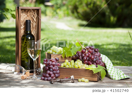Wine and grape Wine and grape 41502740