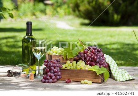 Wine and grape Wine and grape 41502741