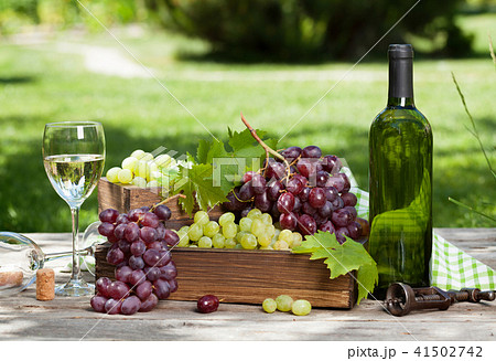 Wine and grape Wine and grape 41502742