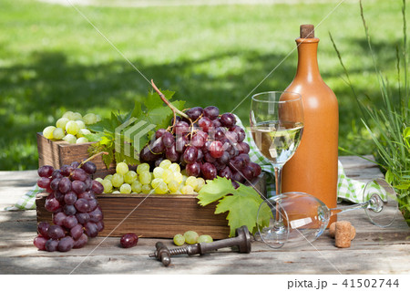 Wine and grape 41502744