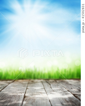 Abstract sunny summer background Abstract sunny summer background 41502831