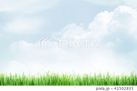 Abstract sunny spring background 41502835