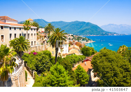 Herceg Novi, Kotor Bay, Montenegro Herceg Novi, Kotor Bay, Montenegro 41503647