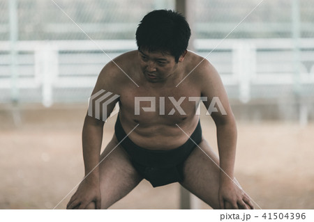 Sumo wrestling 41504396