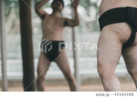 Sumo wrestling 41504398