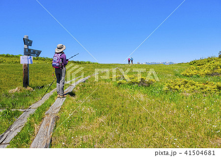 天空の田代湿原２ 41504681