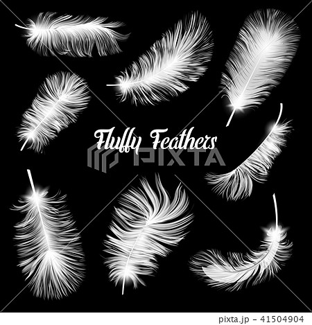 Realistic Fluffy feathers. Falling twirled plumage of white bird on blue background for banners 41504904
