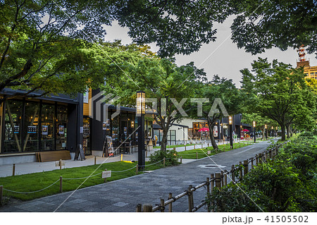 愛知県　名古屋市　金シャチ横丁　宗春ゾーン 41505502