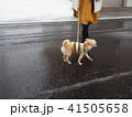 雪の中散歩する女性とチワワ 41505658
