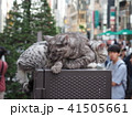街中で仲良くお昼寝する二匹の猫 41505661