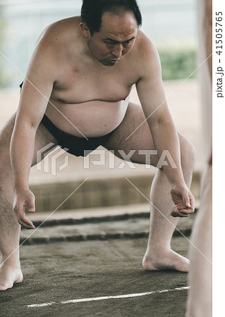 Sumo wrestling 41505765