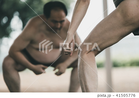 Sumo wrestling 41505776