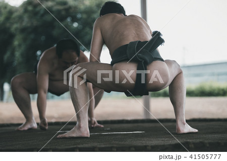 Sumo wrestling 41505777