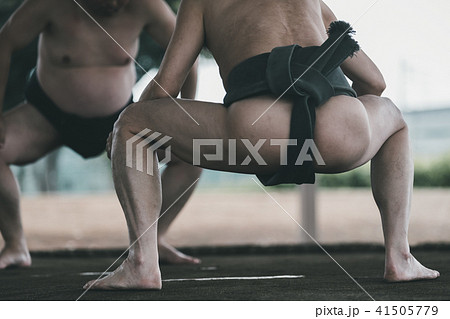 Sumo wrestling Sumo wrestling 41505779