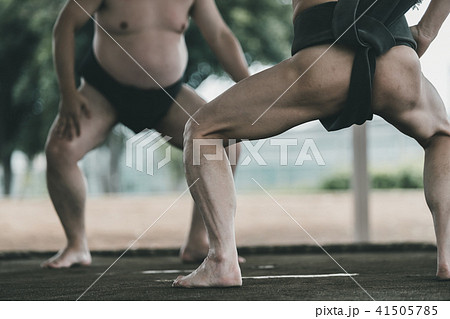 Sumo wrestling Sumo wrestling 41505785