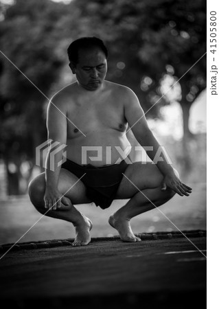 Sumo wrestling Sumo wrestling 41505800