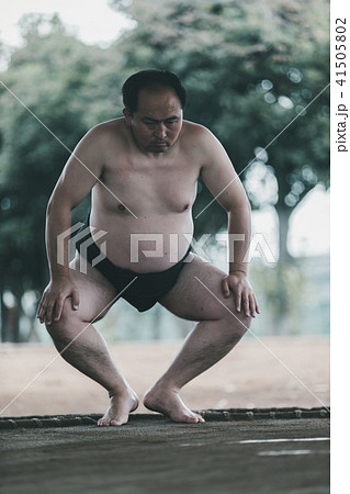 Sumo wrestling Sumo wrestling 41505802