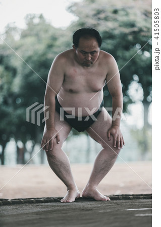 Sumo wrestling Sumo wrestling 41505803