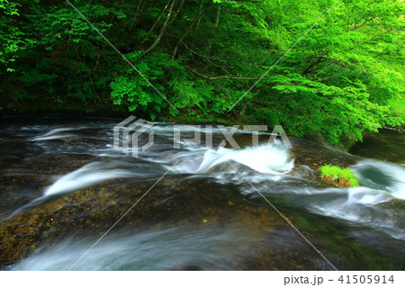 夏の釜淵の滝 41505914