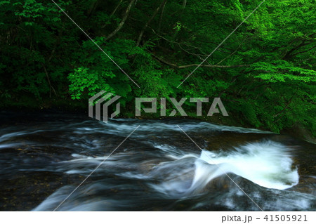 夏の釜淵の滝 41505921