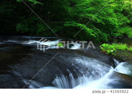 夏の釜淵の滝 41505922