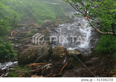 斜里岳　山頂への道 　旧道　沢コース 41506239