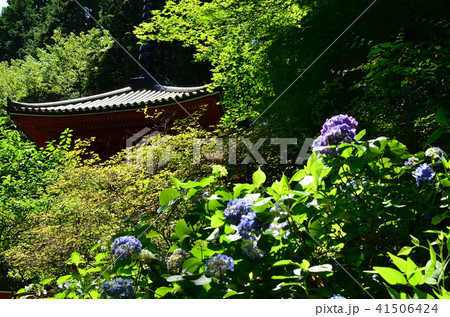 岩船寺 三重塔 岩船寺 三重塔 41506424
