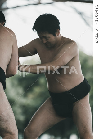 Sumo wrestling 41506431
