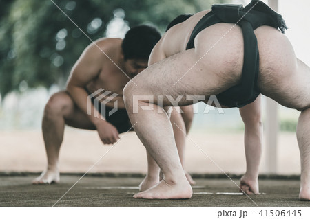Sumo wrestling 41506445