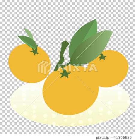 Natsumikan 2 41506683