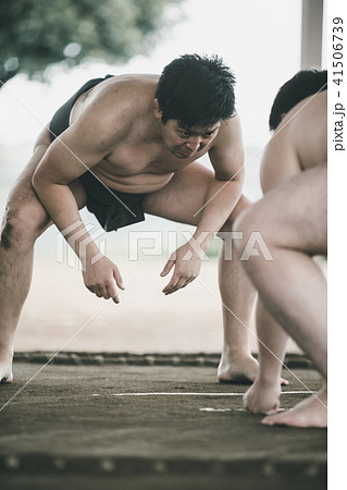 Sumo wrestling 41506739