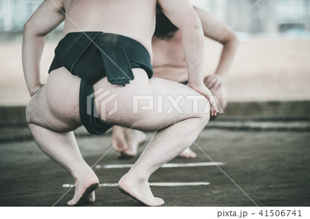 Sumo wrestling 41506741