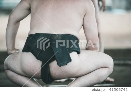 Sumo wrestling 41506742