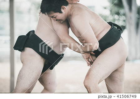 Sumo wrestling 41506749