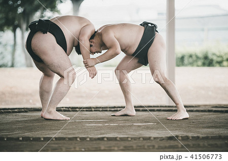 Sumo wrestling 41506773