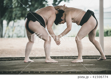 Sumo wrestling Sumo wrestling 41506774