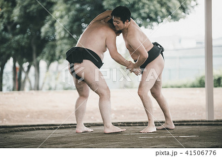 Sumo wrestling Sumo wrestling 41506776