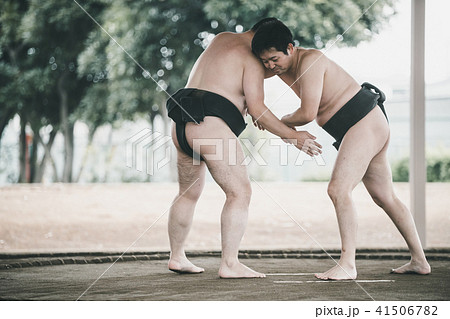 Sumo wrestling 41506782